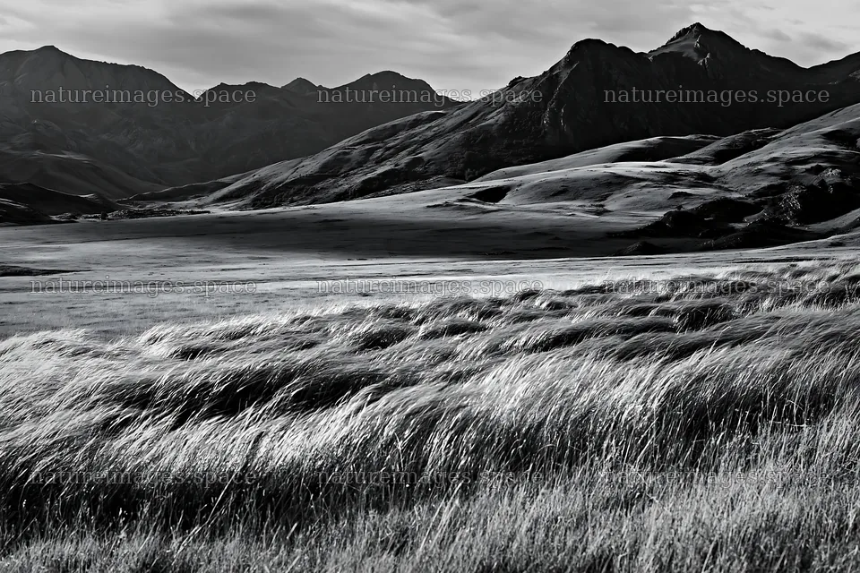 Rolling valley meadows with mountains in the background – nature images 9722x6480