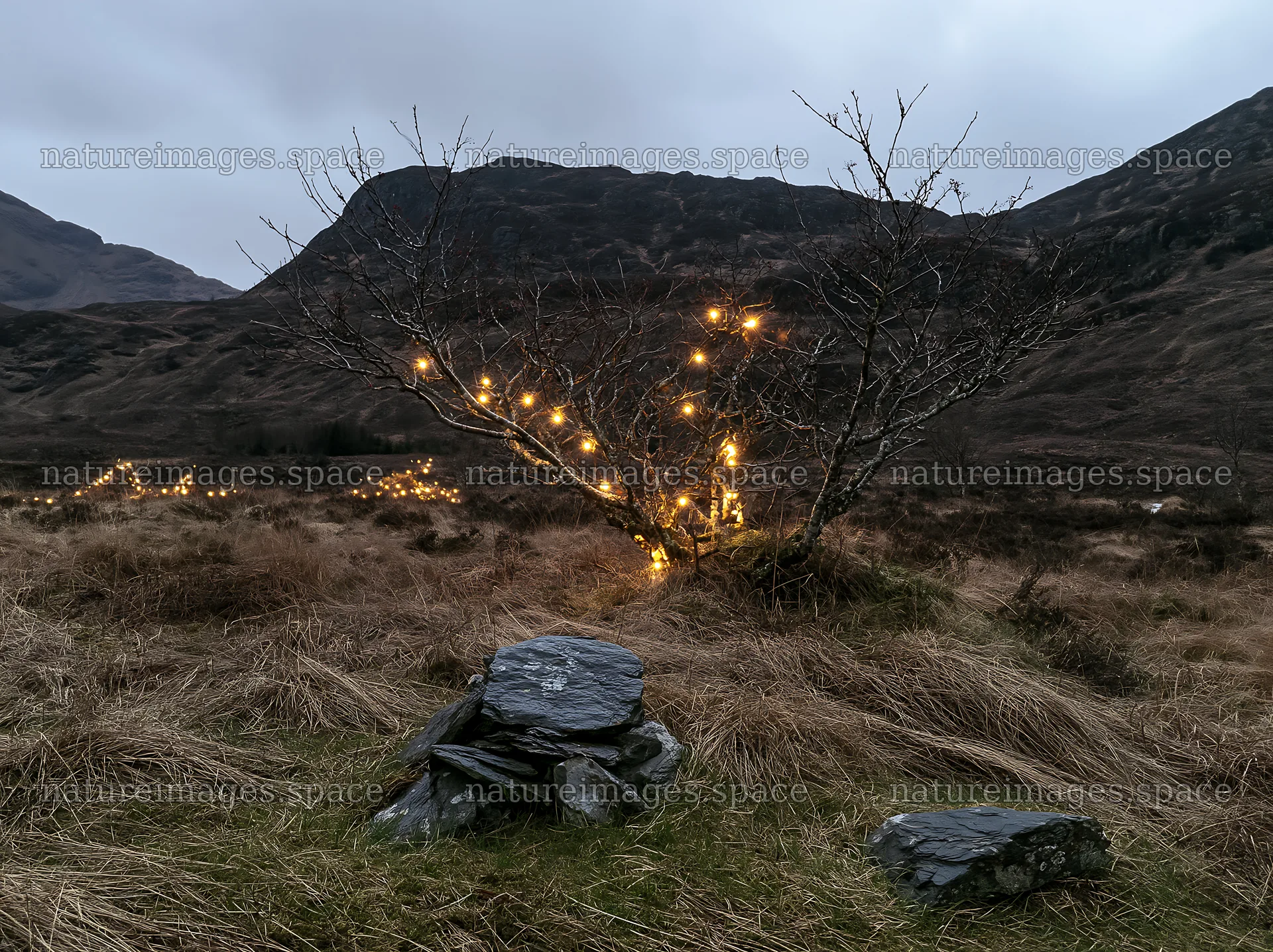 Christmas meadow with lights and stones in a spring recovery setting – nature images 9174x6866