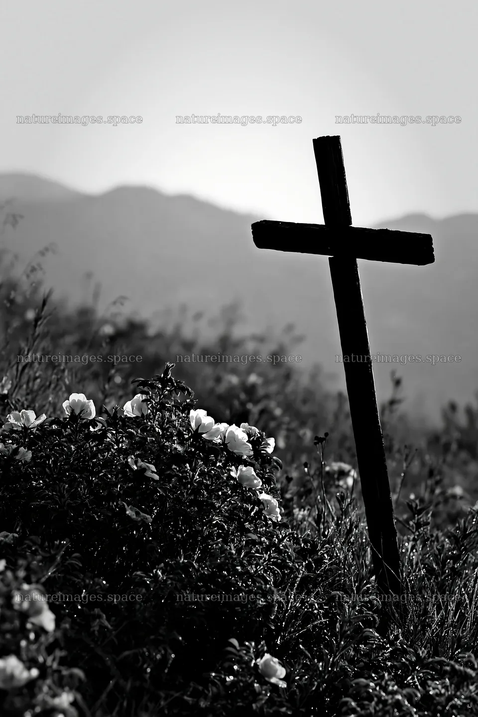 Christian cross in secluded mountain meadow – nature images 6480x9722